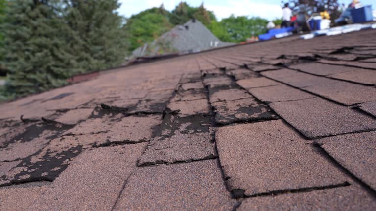 Best Slate Roofing  in Tularosa, NM